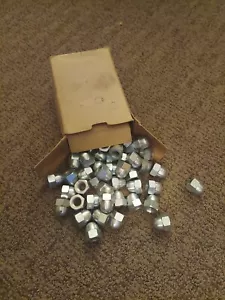 Eichel Sechskant Hutmuttern Edelstahl Standardhöhe VOLLE BOX mit 80 - Bild 1 von 6