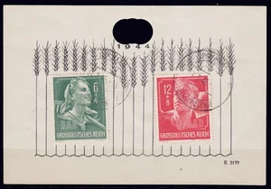 Reich alemán 894/95 Reichsarbeitsdienst en hojas de joyería - Imagen 1 de 1