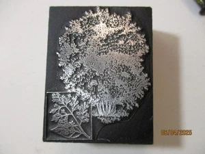 Printing Letterpress Printer Type Block Tree Print Cut - Picture 1 of 6