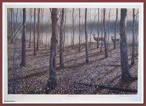 Hardwood Trail by J. Vanderbrink - Picture 1 of 1