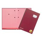PAGNA Signature Folder DE LUXE 20 Part File with Divider Index Tabs | A4 | Red