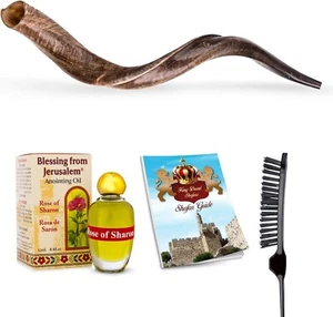 Shofar Kudu Horn Instrument L 28"-31" natürlich poliert aus Israel Öl & Pinsel - Bild 1 von 9