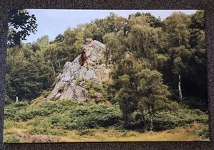 Habberley Valley Nature Reserve, lokaler Fotograf auf A1-Leinwand von R Irvine - Bild 1 von 4