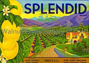 California Fruit Crate Label Fine Art Print, Grove, approx 9.9"x 13.7" 13047 - Picture 1 of 1