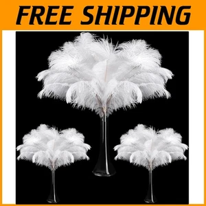 White Ostrich Feathers Bulk 90 Pcs 14-16 Inch - Picture 1 of 8
