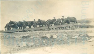 1911 Original photo Lancashire Royal Artillery Volunteers Water Horses at Trough - Picture 1 of 2