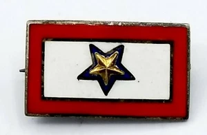 Antique Sterling Silver WWII STAR Gold Star Service Banner Pin War Son LostP45 - Picture 1 of 4