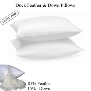 Duck Feather&Down Pillows Extra Filled Bed Pillow 100%Cotton Cover Pack of 2,4,6 - Picture 1 of 8