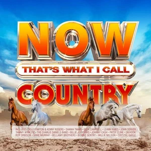 NOW Thats What I Call Country 2021 CD Top-quality Free UK shipping Audio CD - Picture 1 of 7