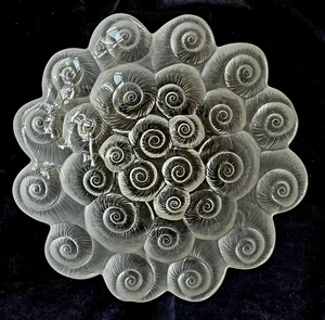 Royal Copenhagen Mikasa Französisch? Glas 11" Schale unbeschriftet unbekannt Fossil Muscheln - Bild 1 von 5