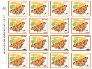 WISCONSIN STATE BUTTERFLY - THE GOMMA - 12 PRO BLATT - Bild 1 von 1