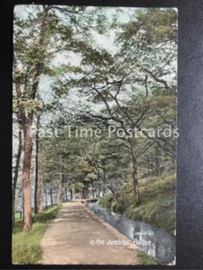 c1909 - Bolton, In The Jumbles - Picture 1 of 1