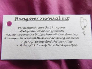 10 x Hangover Survival Kit TAGS, Wedding Favours, Hen/Stag Nights, Party Gift - Picture 1 of 1