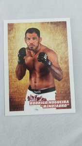 Rodrigo Nogueira Minotauro card UFC 2011 Panini Brazil #P13