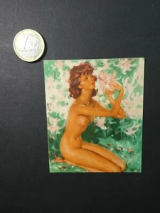 s10 Pin up jolie femme nue - Imagen 1 de 1