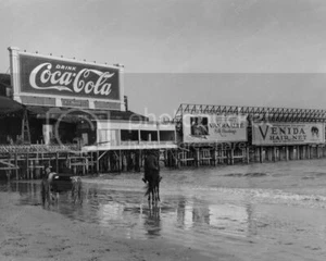 AC NJ Beach Horses Coca Cola Billboard 8 by 10 Reprint Photograph - Picture 1 of 1