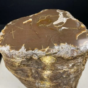 646GR TOP Rare Natural Yellowish Brown Amber Rough Mineral Specimen - Picture 1 of 18