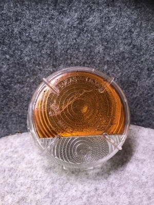 Indicador delantero/lámpara lateral para lente Morris Minor/MGA solamente Foto 1 de 4