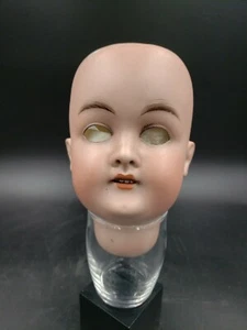 ANTIQUE BISQUE DOLL HEAD BY KARL HARTMAN GERMANY c.1915 #987 28.5cm  - NICE! - Bild 1 von 7