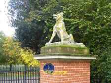 Photo 12x8 One of the Dogs of Alcibiades in Victoria Park Bethnal Green Vi c2019