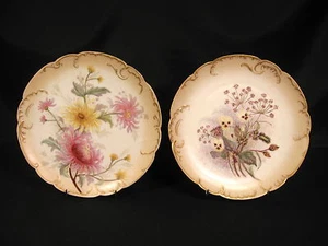 H & Co. Limoges Cabinet Plates Hand Painted Thistle & Mum Flowers Set of 2 - Picture 1 of 12