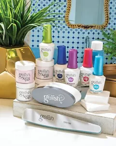 Gelish Xpress Dip Powder SNS French Nail Kit (5 Liquids + 4 Dipping Powders) NEW - Picture 1 of 7
