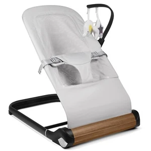 Baby Bouncer Chair - Comfortable Support for Your Little One's Blissful Moments - Picture 1 of 7