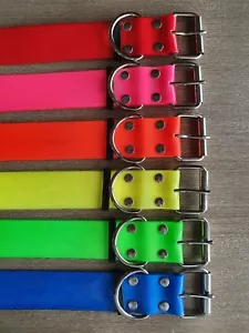 Dog Yard Collar 50mm Fluro , Pig, Fox, Pet, Greyhound, Sambar Hound Deer - Picture 1 of 14