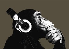 STEREO CHIMP Music Headphones Cool Large Poster Wall Art Pop Room Decoration