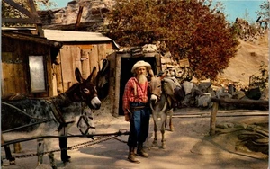 Cartolina d'epoca Knott's Beery Farm Buena Park CA divertimento vecchia città fantasma minatore - Foto 1 di 3