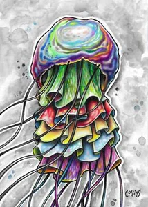 Skirted Jellyfish Nautical fine art drawing painting print Print Bryan Collins - Picture 1 of 7