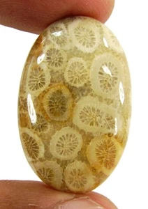 31.80 Ct Natural Fossil Coral Loose Gemstone Stone Cab Wire Wrap Stone - 17312 - Picture 1 of 2