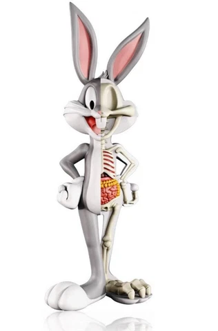 XXRAY Looney Tunes bugs Bunny Vinyl Art Figure 4D Vision By Jason Freeny Cover
