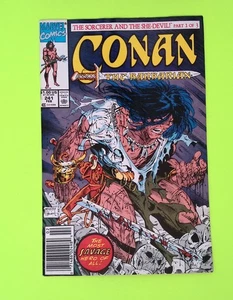 Conan the Barbarian #241 Vol. 1 1991 Marvel Comics Newsstand RY22-282 - Picture 1 of 2