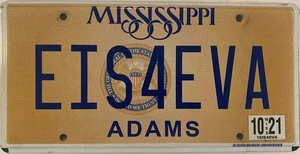 Vanity EIS EISLYN EISLEE EISA FOR EVA licence plate Eistir Eisha Eislee Eisley - Picture 1 of 7