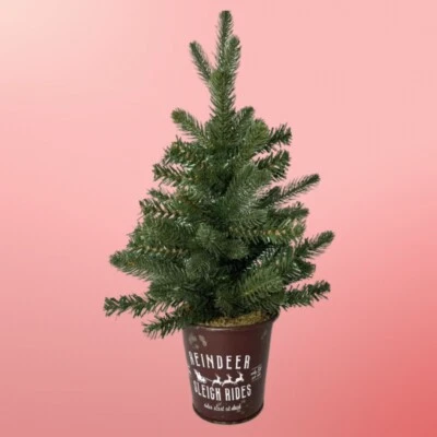 Table Top Rustic Christmas Tree 18” Tall  - Image 1 of 4