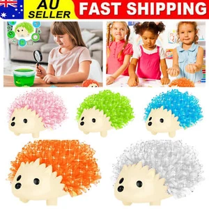Hedgehog Crystal Growing Kit Grow Your Own Crystals Science Experiments Kits - Picture 1 of 17