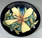 Moorcroft Pottery Pin Dish  Panache  By Sian Leeper