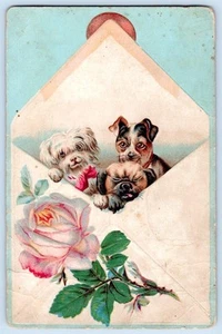 TARJETA POSTAL VICTORIANA ANTIGUA EN RELIEVE PUG CARA DIVERTIDA DE 3 PERROS AÑOS 1880-90 TAMAÑO - Imagen 1 de 2