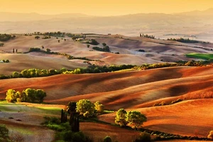 Fototapete VLIES-LANDSCHAFT-(1051S)-Feld Wand Tapete Nach Maß Wohnzimmer XXL - Bild 1 von 1