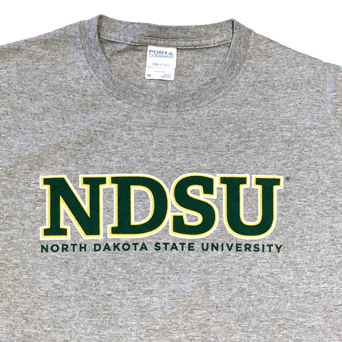 North Dakota State Bison NDSU Short Sleeve T Shirt - M Medium - Gray - CLEAN!! Cover
