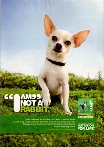 PRINT AD 2012 Iams Dog Food I Am Not a Rabbit Canada Chihuahua 7.5 x 11 - Picture 1 of 1