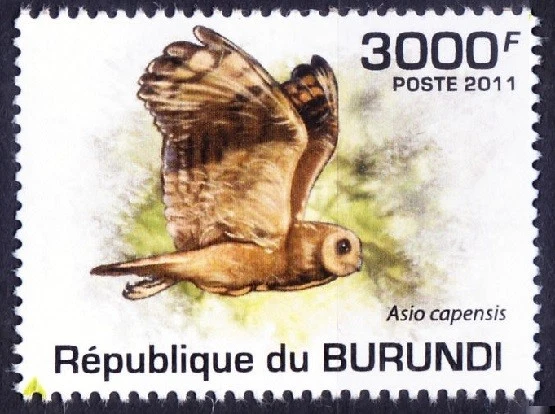 Marsh Owl, Birds of Prey, Burundi 2011 MNH [Mv] Foto 1 de 1