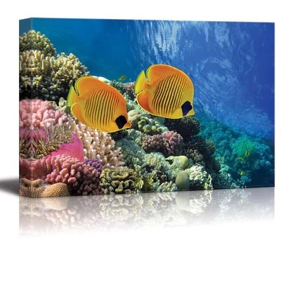 Canvas Prints Wall Art - Coral Reef and Tropical Fish in Sunlight - 12" x 18" - Image 1 of 3