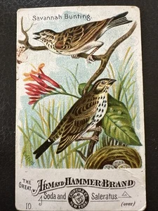 Savannah Bunting Arm & Hammer Handsome Bird Card Church & Co #10 c1890 - Imagen 1 de 4