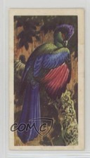 1961 Brooke Bond Tropical Birds Tea Purple-Crested Turaco #9 a8x