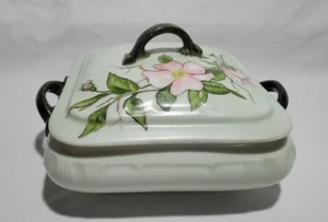 Plato Cubierto Haviland Limoges Diseño Dogwood Precioso Antiguo Cubierto Tureen - Imagen 1 de 6