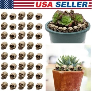 60pcs Mini Skull Heads Skeleton Head Ornament Garden Halloween Decoration New US - Picture 1 of 13