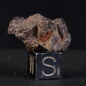 Météorite NWA 15738 de 5,53 g - Pallasite individuelle  - Imagen 1 de 9