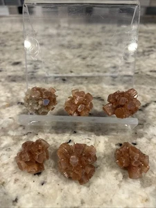 "Lote de 6 muestras pequeñas de racimo de aragonita natural de 1,0"" X1,25"" curación natural" - Imagen 1 de 5
